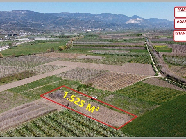 SAKARYA PAMUKOVA SATILIK EMSALSİZ RESMİ YOLU 1.525M2  KÖYE D-650 KARA YOLUNA ÇOK YAKIN - Görsel 15