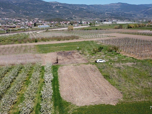 SAKARYA PAMUKOVA SATILIK EMSALSİZ RESMİ YOLU 1.525M2  KÖYE D-650 KARA YOLUNA ÇOK YAKIN - Görsel 5