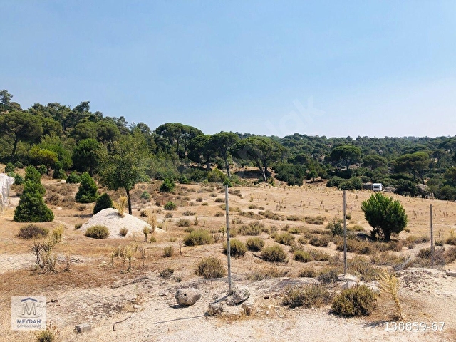 MUĞLA MİLAS AKKOVANLIKDA 9.108 M² KAÇMAZ KUPON TARLA !!!! - Görsel 2