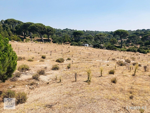 MUĞLA MİLAS AKKOVANLIKDA 9.108 M² KAÇMAZ KUPON TARLA !!!! - Görsel 3