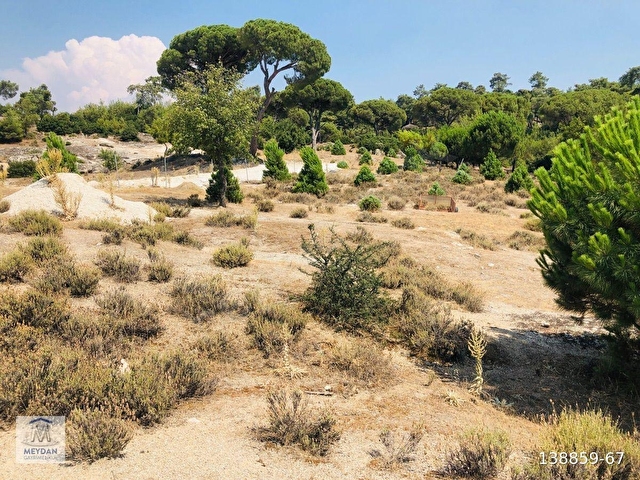 MUĞLA MİLAS AKKOVANLIKDA 9.108 M² KAÇMAZ KUPON TARLA !!!! - Görsel 4