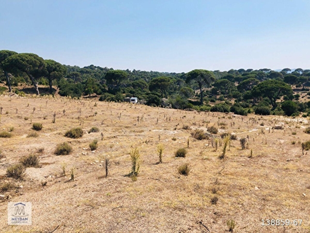 MUĞLA MİLAS AKKOVANLIKDA 9.108 M² KAÇMAZ KUPON TARLA !!!! - Görsel 7