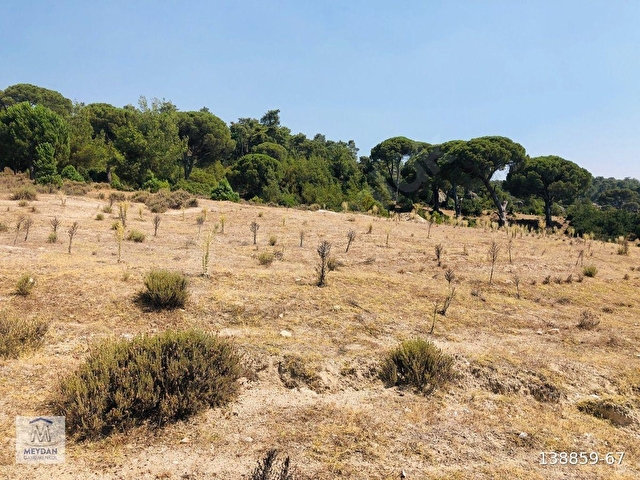 MUĞLA MİLAS AKKOVANLIKDA 9.108 M² KAÇMAZ KUPON TARLA !!!! - Görsel 24
