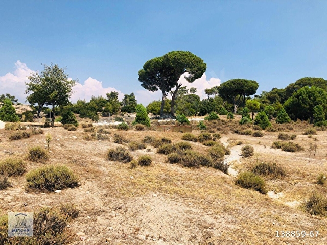 MUĞLA MİLAS AKKOVANLIKDA 9.108 M² KAÇMAZ KUPON TARLA !!!! - Görsel 26