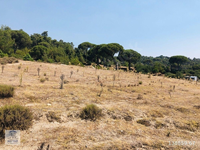 MUĞLA MİLAS AKKOVANLIKDA 9.108 M² KAÇMAZ KUPON TARLA !!!! - Görsel 23