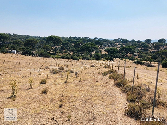 MUĞLA MİLAS AKKOVANLIKDA 9.108 M² KAÇMAZ KUPON TARLA !!!! - Görsel 27