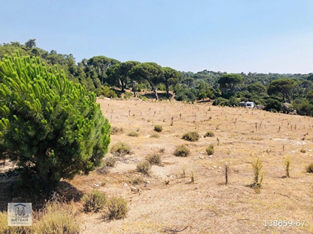 MUĞLA MİLAS AKKOVANLIKDA 9.108 M² KAÇMAZ KUPON TARLA !!!! - Görsel 30