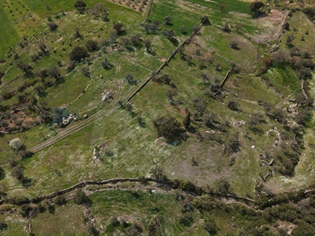 MİLAS ÇİFTLİKTE FIRSAT ZEYTİNLİTARLA - Görsel 5