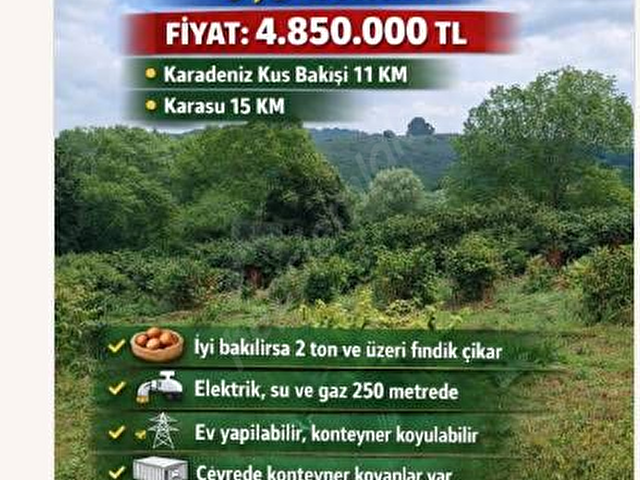 Sahibinden Satılık Çok Amaçlı Fındık Bahçesi - Ferizli Nalköy Mahallesi FIYATI UYGUN TUTUYORUM EMSAL