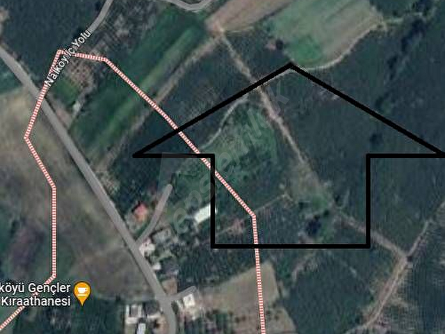 Sahibinden Satılık Çok Amaçlı Fındık Bahçesi - Ferizli Nalköy Mahallesi FIYATI UYGUN TUTUYORUM EMSAL - Görsel 10