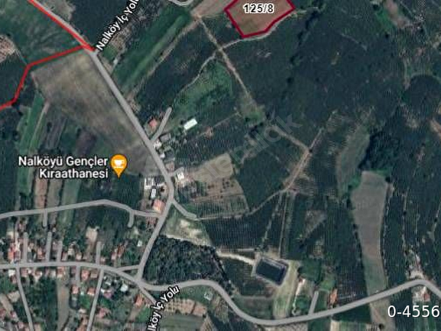 Sahibinden Satılık Çok Amaçlı Fındık Bahçesi - Ferizli Nalköy Mahallesi FIYATI UYGUN TUTUYORUM EMSAL - Görsel 2