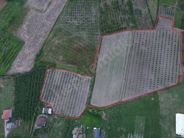 49-ŞEKER GAYRİMENKUL KARGALI HANBABA SATILIK 27830m2 SATILIK ARSA - Görsel 10