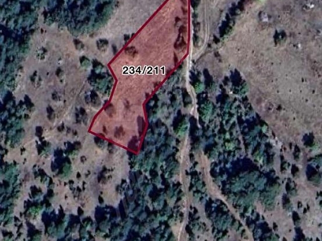 KOCAKOVACIK YAYLA DA 2.754 m2 RESMİ YOLU OLAN TARLA