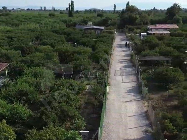 Gümüldür’de Fırsat Bahçe - Görsel 7
