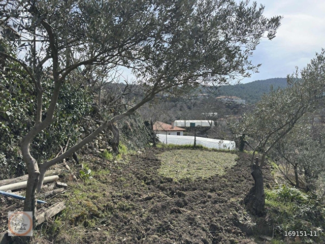 MUĞLAYA 15 DAKİKA 1600 M2 ARSA VE ESKİ KÖY EVİ - Görsel 7