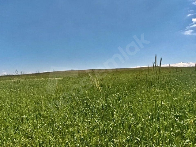 ÇEVRİL 10.088 M2 TEK TAPU, EKİLİP DİKİLİR, KONTEYNER KOYULABİLİR, ÇADIR BESİCİLİĞİ YAPILIR TARLA - Görsel 20