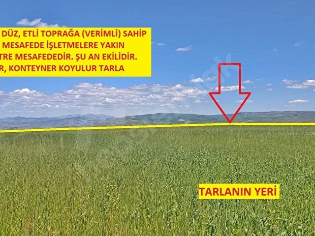 ÇEVRİL 10.088 M2 TEK TAPU, EKİLİP DİKİLİR, KONTEYNER KOYULABİLİR, ÇADIR BESİCİLİĞİ YAPILIR TARLA