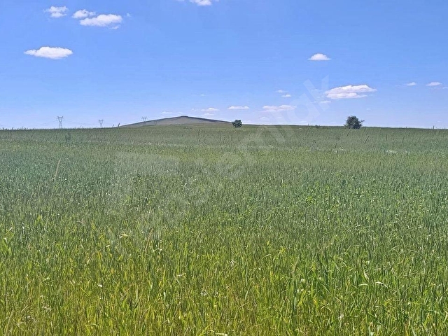 ÇEVRİL 10.088 M2 TEK TAPU, EKİLİP DİKİLİR, KONTEYNER KOYULABİLİR, ÇADIR BESİCİLİĞİ YAPILIR TARLA - Görsel 23