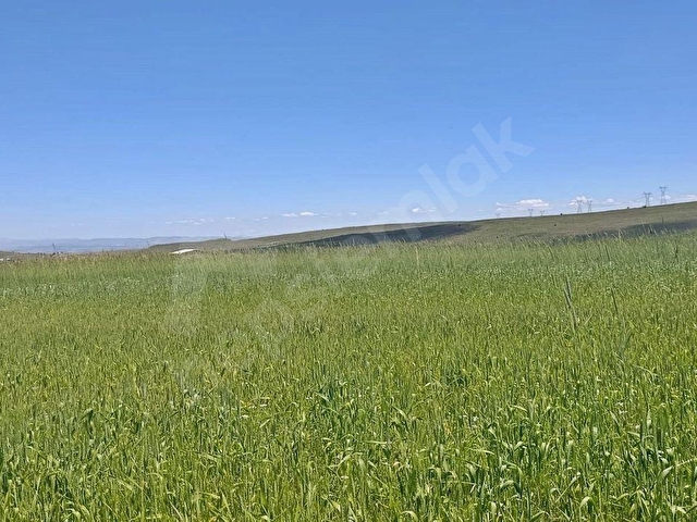 ÇEVRİL 10.088 M2 TEK TAPU, EKİLİP DİKİLİR, KONTEYNER KOYULABİLİR, ÇADIR BESİCİLİĞİ YAPILIR TARLA - Görsel 12