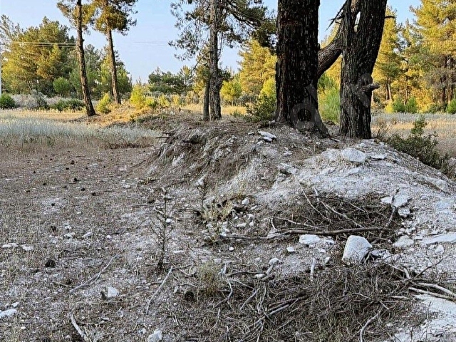 KAÇMAZ EMLAK ÇAYYOLU KAŞ TA SÜPER KONUMLU  ARSA - Görsel 6
