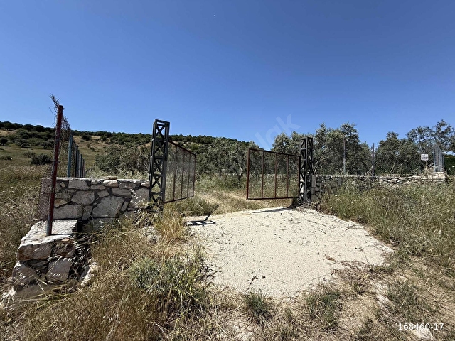 KZBEYLİDE TEK TAPU 1783 m2 SATILIK TARLA - Görsel 15