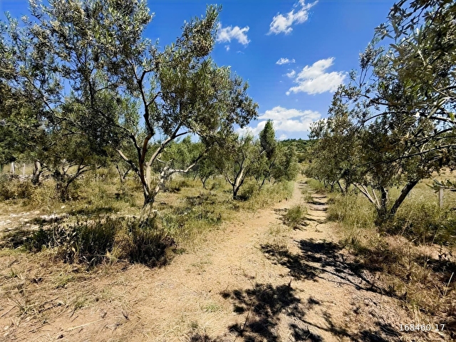 KZBEYLİDE TEK TAPU 1783 m2 SATILIK TARLA - Görsel 8