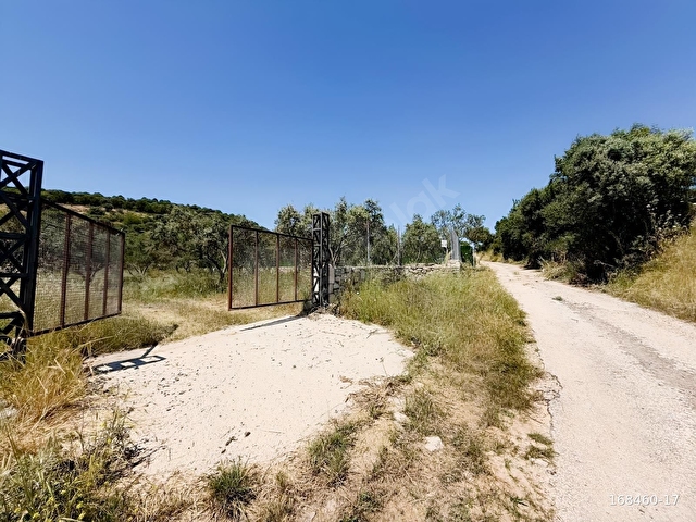 KZBEYLİDE TEK TAPU 1783 m2 SATILIK TARLA - Görsel 14