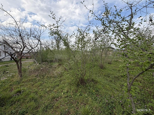 KARTEPE MAŞUKİYEDE SATILIK 620 M2 İMARLI ARSA - Görsel 19