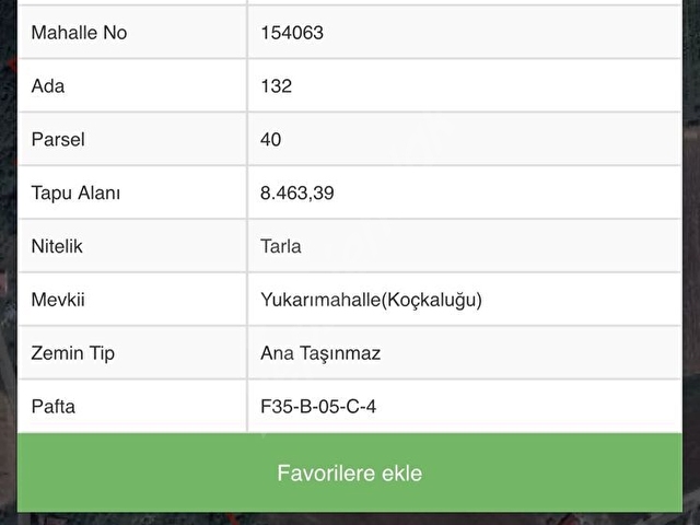 BAFRA KÖŞELİ MAHALLESİ SATILIK FINDIKLIK