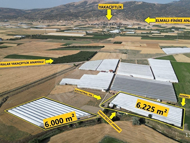 BAYRALAR MAH. SERA VE  EVİ OLAN 6.000 m²  ve  6.225 m²  TOPLAM 12.225  m²  BAKIMLI  SERA SATILIKTIR.