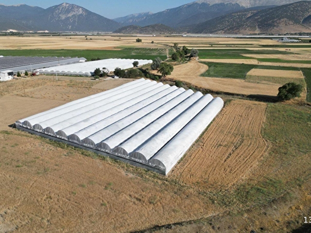 BAYRALAR MAH. SERA VE  EVİ OLAN 6.000 m²  ve  6.225 m²  TOPLAM 12.225  m²  BAKIMLI  SERA SATILIKTIR. - Görsel 14