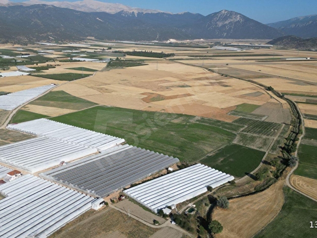 BAYRALAR MAH. SERA VE  EVİ OLAN 6.000 m²  ve  6.225 m²  TOPLAM 12.225  m²  BAKIMLI  SERA SATILIKTIR. - Görsel 9