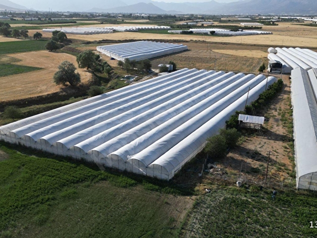 BAYRALAR MAH. SERA VE  EVİ OLAN 6.000 m²  ve  6.225 m²  TOPLAM 12.225  m²  BAKIMLI  SERA SATILIKTIR. - Görsel 19