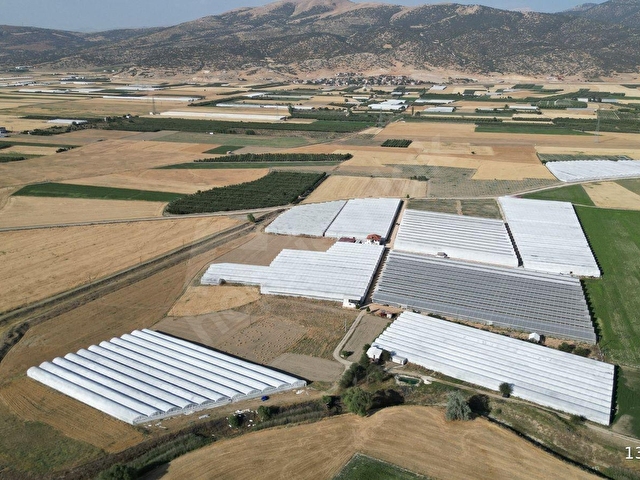 BAYRALAR MAH. SERA VE  EVİ OLAN 6.000 m²  ve  6.225 m²  TOPLAM 12.225  m²  BAKIMLI  SERA SATILIKTIR. - Görsel 4