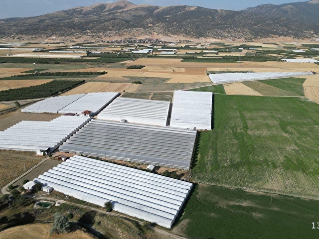 BAYRALAR MAH. SERA VE  EVİ OLAN 6.000 m²  ve  6.225 m²  TOPLAM 12.225  m²  BAKIMLI  SERA SATILIKTIR. - Görsel 11