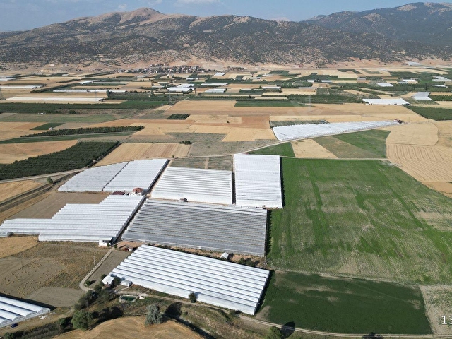 BAYRALAR MAH. SERA VE  EVİ OLAN 6.000 m²  ve  6.225 m²  TOPLAM 12.225  m²  BAKIMLI  SERA SATILIKTIR. - Görsel 10
