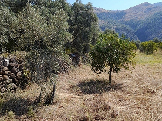 MÜJGAN EMLAKTAN MUĞLA KÖYCEĞİZ YEŞİLKÖY MH 600M2 ARSA - Görsel 13
