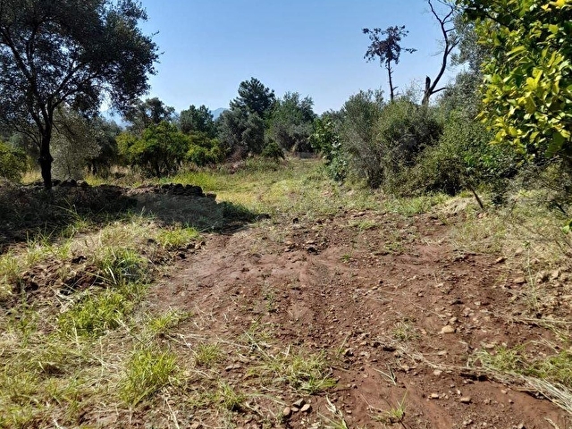 MÜJGAN EMLAKTAN MUĞLA KÖYCEĞİZ YEŞİLKÖY MH 600M2 ARSA - Görsel 9