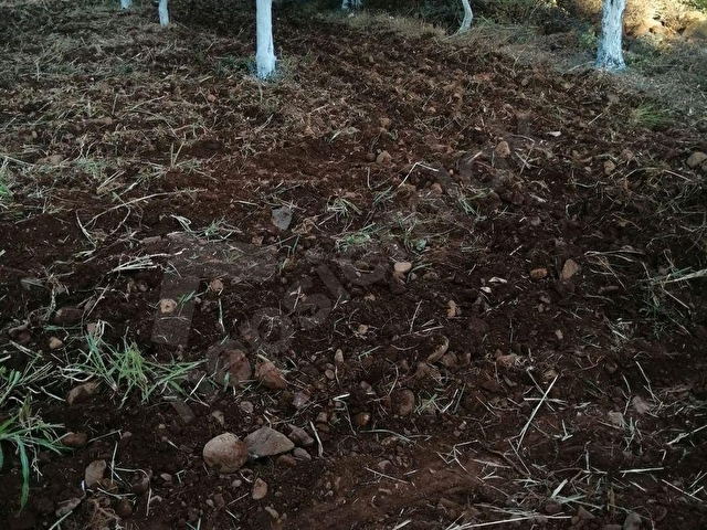 MÜJGAN EMLAKTAN MUĞLA KÖYCEĞİZ YEŞİLKÖY MH 600M2 ARSA - Görsel 2