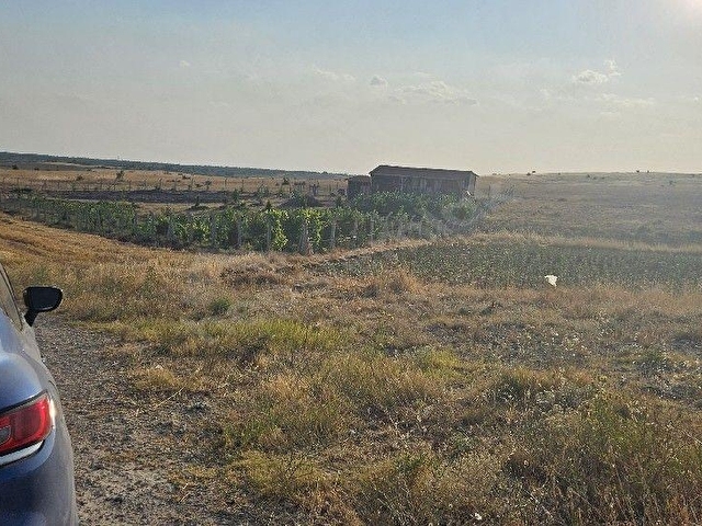 KIRKLARELİ MERKEZ KAYALIDA 6.035 m2 SATILIK ARAZİ - Görsel 14