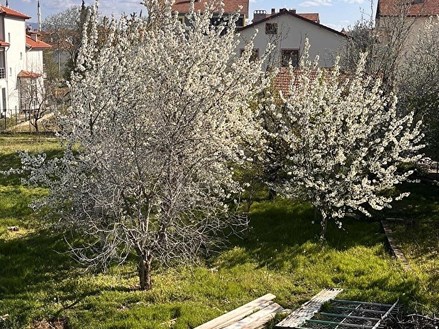 Banaz Acar Cami Yanı 390m2 Arsa 5+1 200m2 Villa - Görsel 5