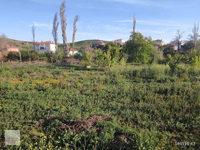 ÇORUM MERKEZ SERBAN KÖYÜNDE KÖYİÇİNDE 877M² TARLAMIZ SATILIKTIR. - Görsel 12