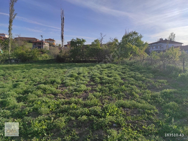 ÇORUM MERKEZ SERBAN KÖYÜNDE KÖYİÇİNDE 877M² TARLAMIZ SATILIKTIR. - Görsel 14