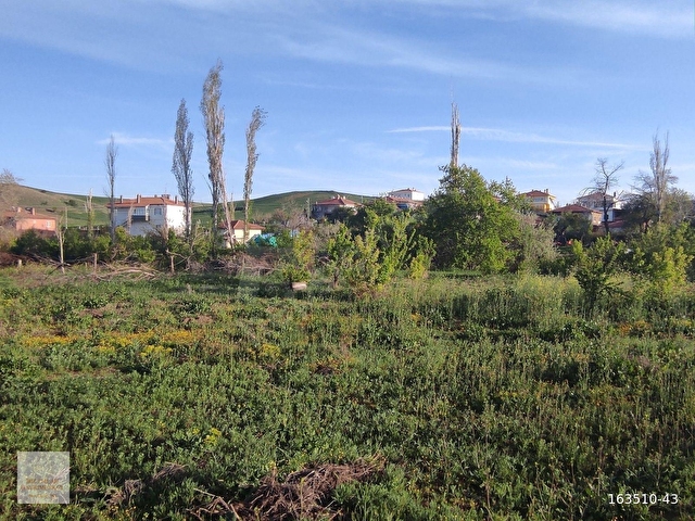 ÇORUM MERKEZ SERBAN KÖYÜNDE KÖYİÇİNDE 877M² TARLAMIZ SATILIKTIR.