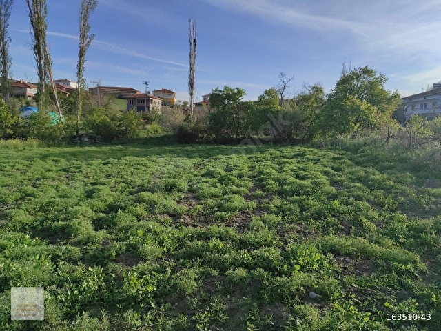 ÇORUM MERKEZ SERBAN KÖYÜNDE KÖYİÇİNDE 877M² TARLAMIZ SATILIKTIR. - Görsel 11
