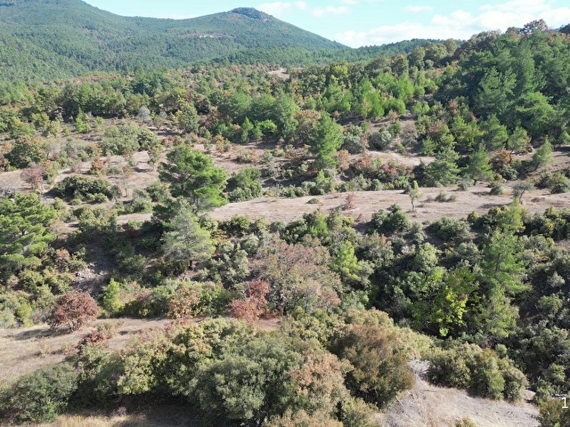 BAYRAMİÇ KORUCAK KÖYÜNDE DERE KENARI SATILIK FIRSAT TARLA - Görsel 28