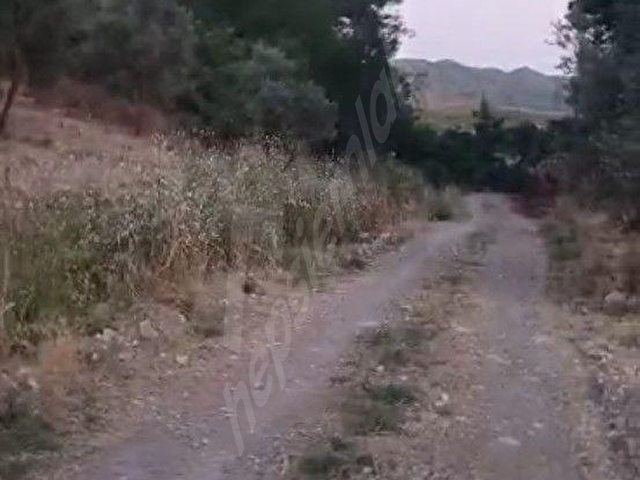 Rızai taksimli satılık 1910 m2 hisse