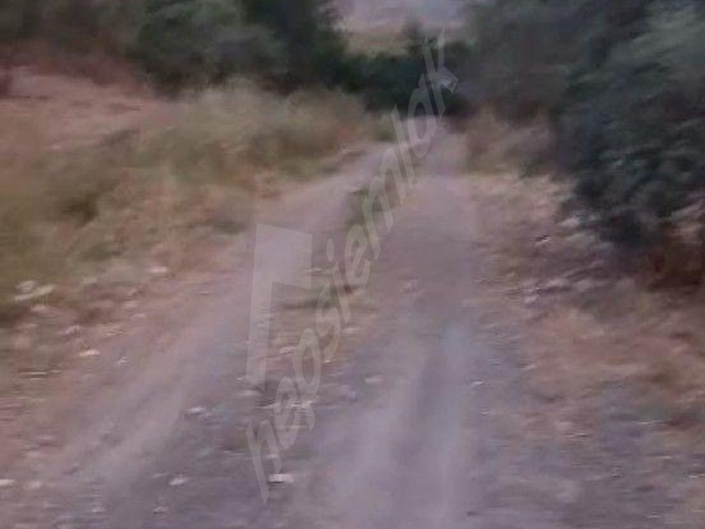 Rızai taksimli satılık 1910 m2 hisse - Görsel 2