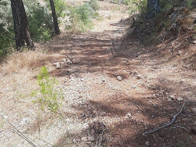 Rızai taksimli satılık 1910 m2 hisse - Görsel 6