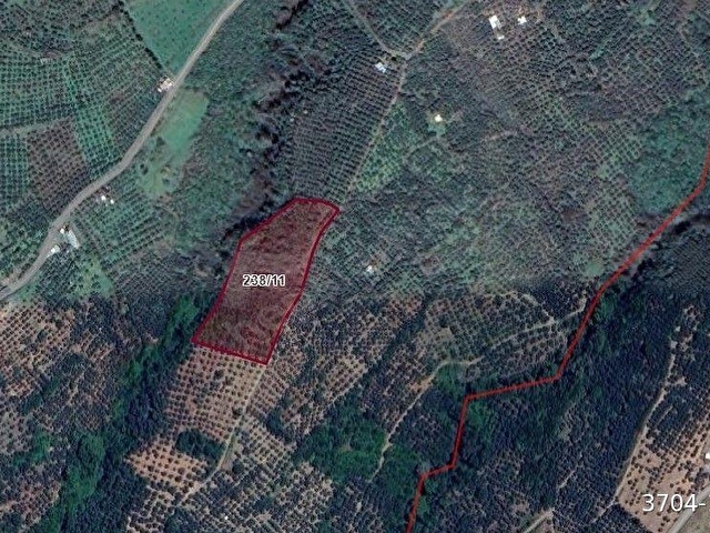 ERDEK, ATATÜRK MAH. KONDARYA MEVKİİ, 10.327M2 SATILIK ZEYTİNLİK - Görsel 3